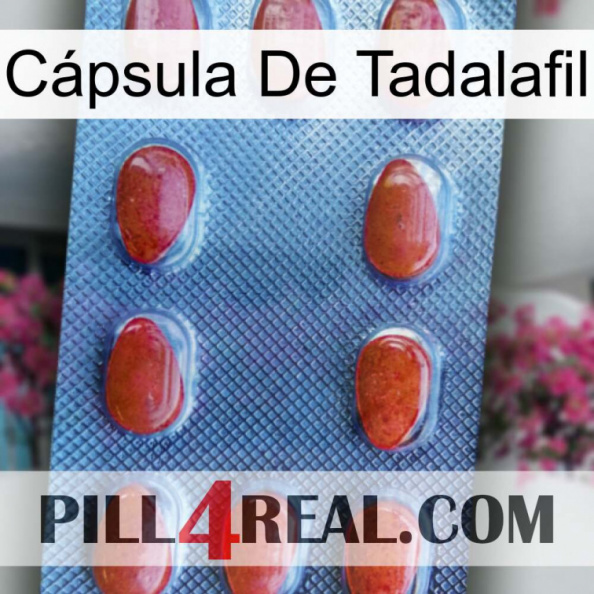 Cápsula De Tadalafil 06.jpg